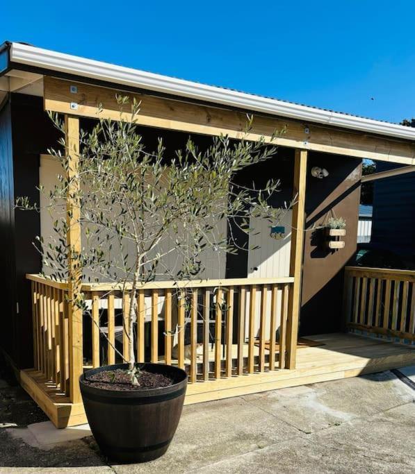 The Olive Tree Shed Apartment Whakatane Exterior photo